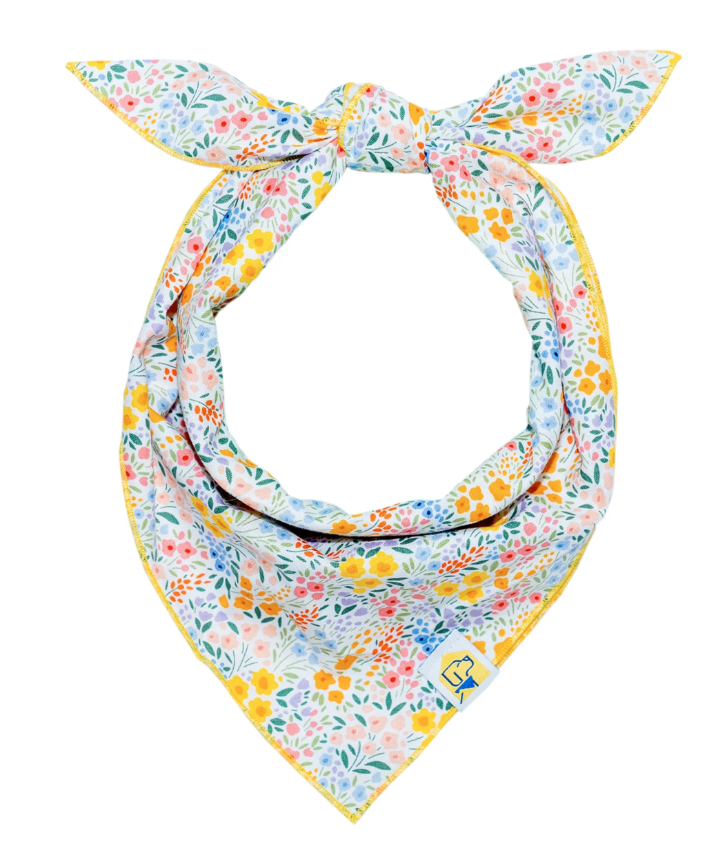 Pet Bandana