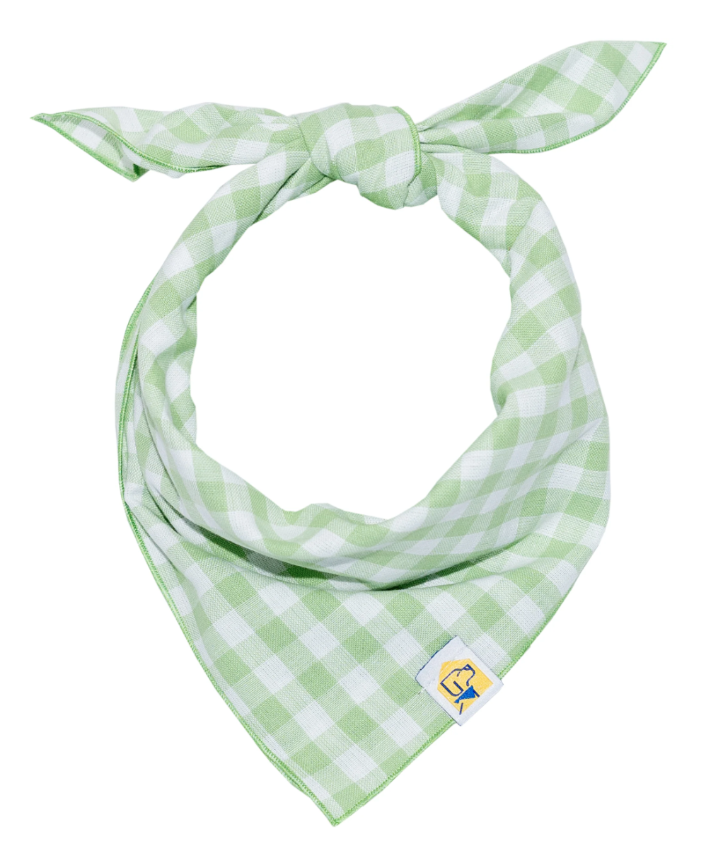 Pet Bandana